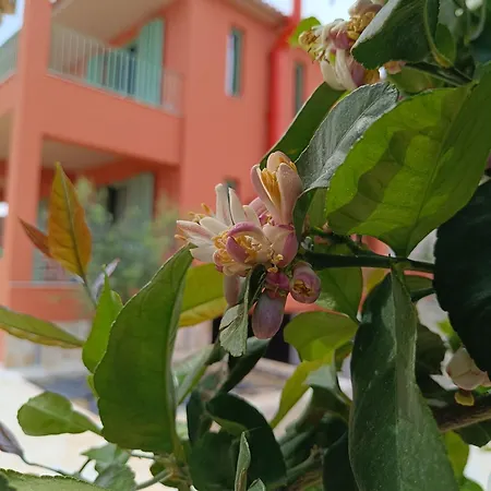 Appartement Alkyoni Luxury *