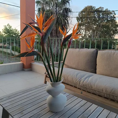 Appartamento Alkyoni Luxury *