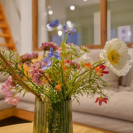 Apartment Alkyoni Luxury Katakolo