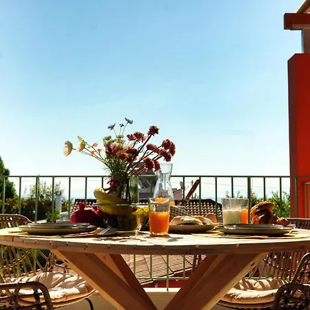 Alkyoni Luxury Apartment *